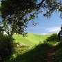 Whipsnake has some nice woodsy switchbacks with views of the surrounding hills.